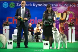 Luka Wystawa Championów 16.11.2024